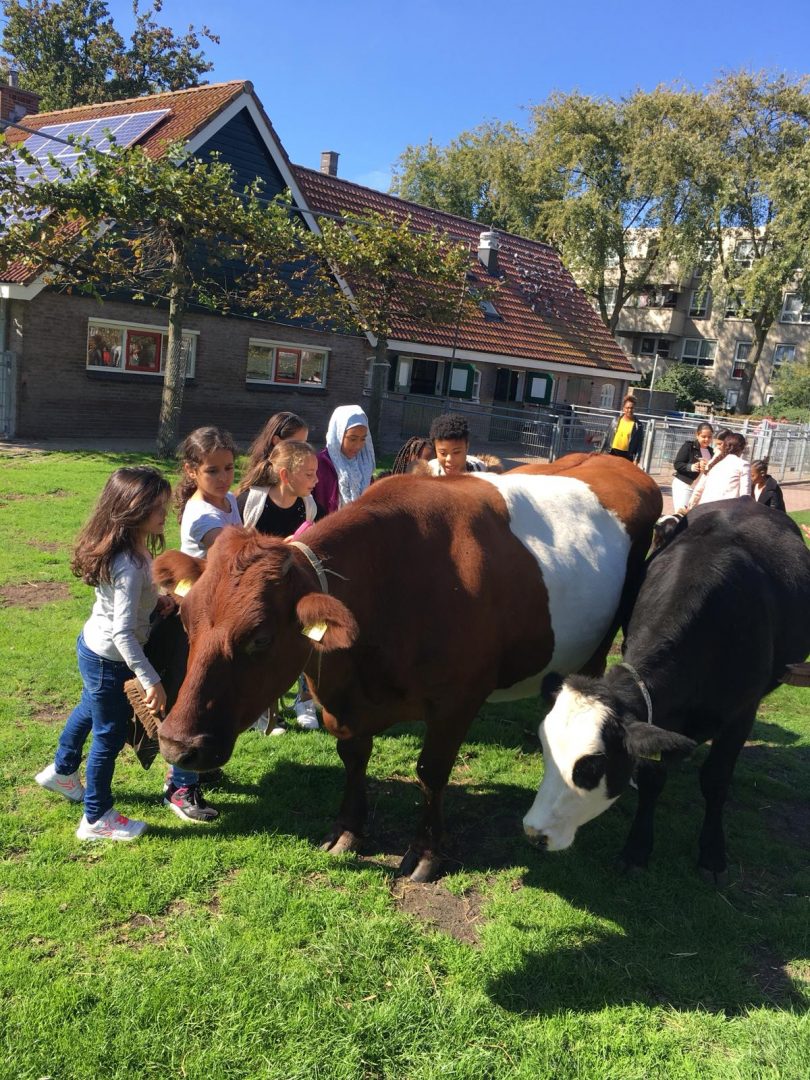 Afbeelding